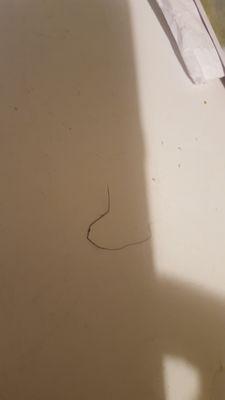 The hair that was on our first pizza from Marcos.