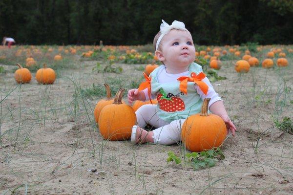 Plenty of pumpkins to pick from & not overcrowded.