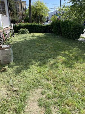 3 inches of grass cuttings - he just cut it and left it laying there!