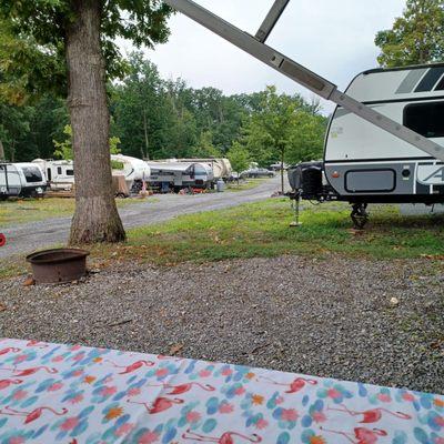 Shady Grove Campground