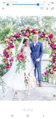 Bridal Gown & Indigo Blue Suit