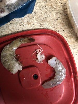 1 frozen shrimp, next to a defrosted frozen spider and a defrosted shrimp. All found in the same Good American seafood shrimp bag.