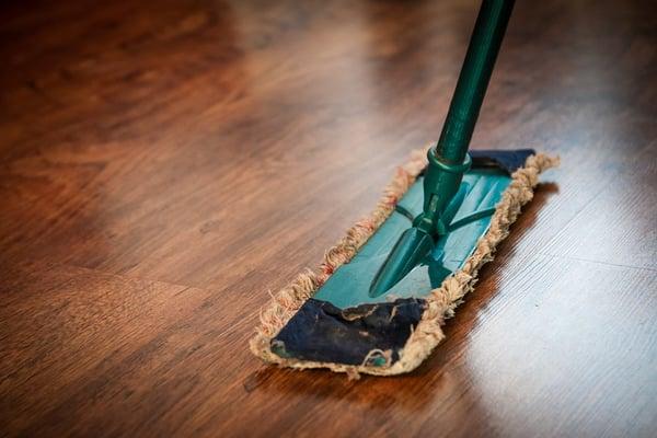 home cleaning professional mop