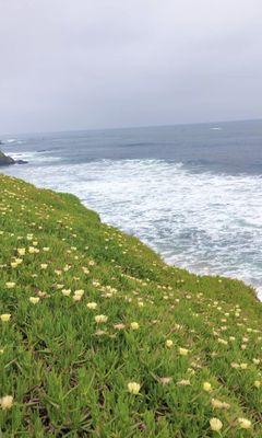 La Jolla Shores Park