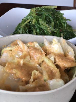 Seaweed salad and house salad with ginger dressing.