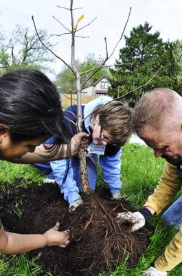 Planting trees!