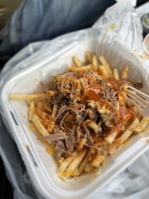 Birria Fries.