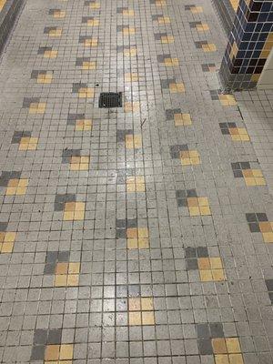 Dirty shower floor at LA Fitness