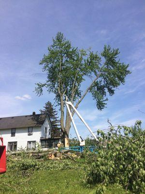 Tree Removal in Hudsonville, Michigan