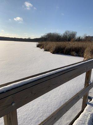 Photo off of a walking trail in winter