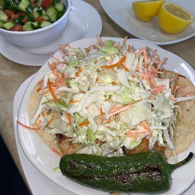 Barramundi Grilled & Fried Fish Taco's with salad