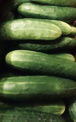 Warm weather means cukes are back!