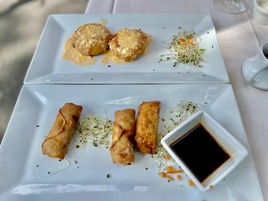 Arancini and Arrotolato