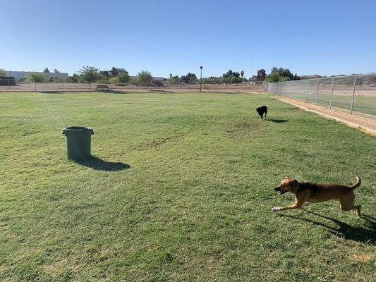 Esteban Dog Park