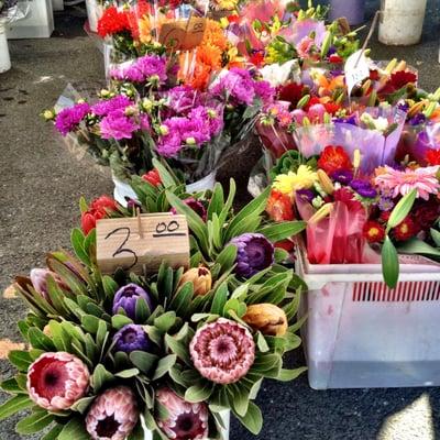 Beautiful fresh cut flowers