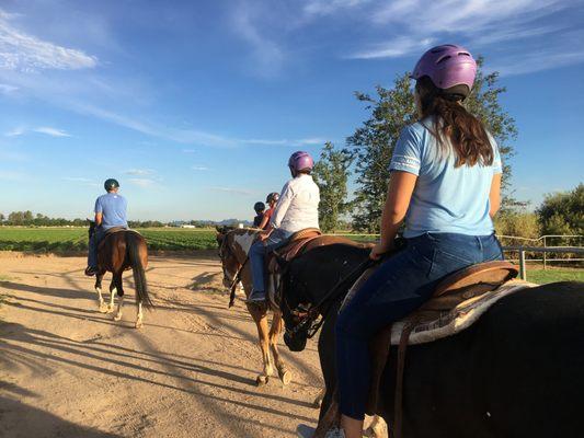 Trail riding along the alfalfa and cotton fields.