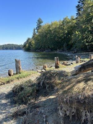 Shady little beach at the end of the main trail.