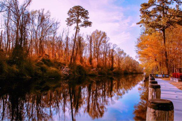 The canal between the rest area and swamp