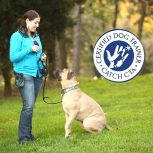 Become a Certified Dog Trainer.