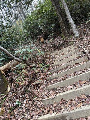 129 stairs to secret falls