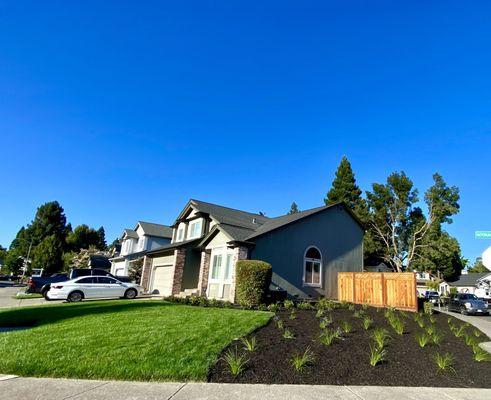 Mulch & Plant Installations