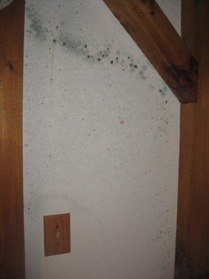 Mold on drywall.