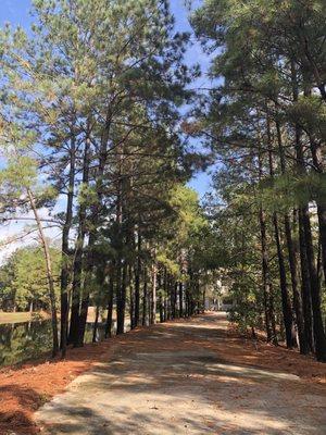 End of trail. It leads to the parking lot left side of the complex.