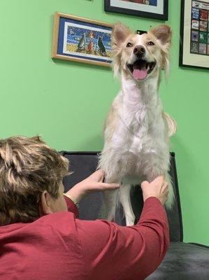 Jasper loves Katie, and her massages!