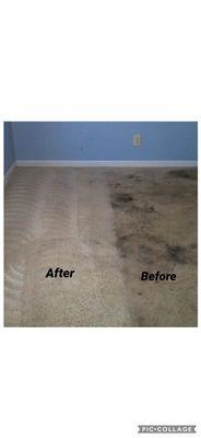 Carpet cleaning in Livingston, TN.