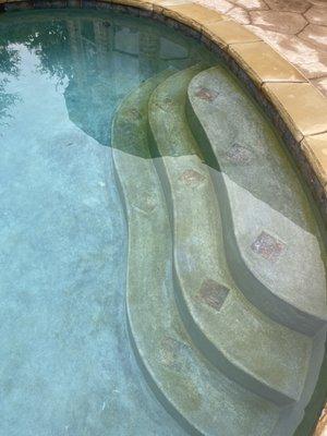 This is an example of why Prestige Pool and Patio rates 1 star this has gone on for 2 months while weekly cleanings in place.