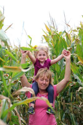 Cornmaze