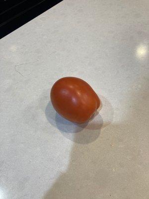 Tomato