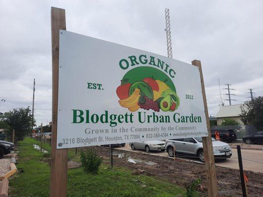 Blodgett Urban Gardens