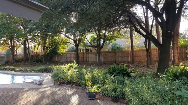 Backyard of Home after Justin Time Tree Services - Completed