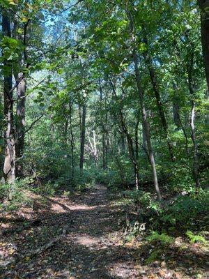 Mint Springs Valley Park