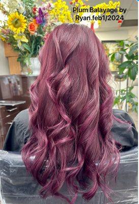 Plum balayage by Ryan call or text 7142309689 for appointment