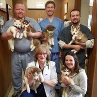 Belmont Veterinary Clinic