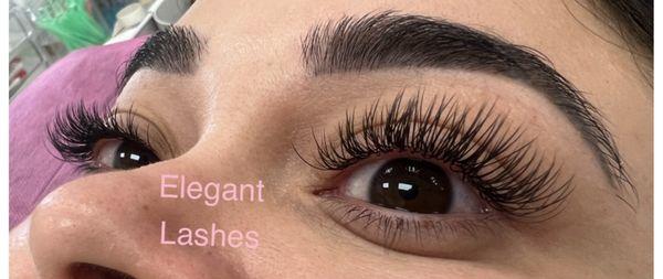 Elegant Lashes