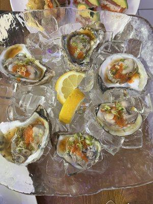 6 oysters ($1/ each!)