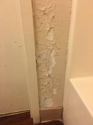 Bathroom wall