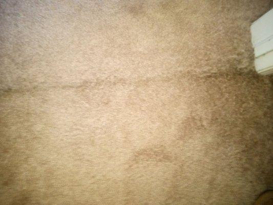 One of the carpet seams.