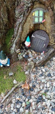 Gnomes have made a home here, too.