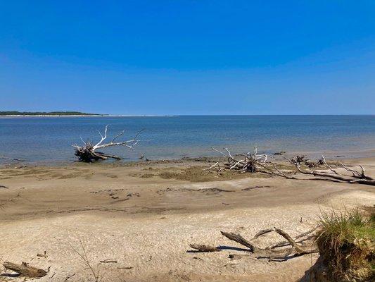 Big Talbot Island State Park  -- Boneyard Beach