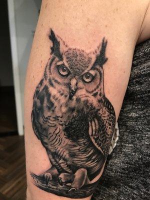 Owl by Big Renzo