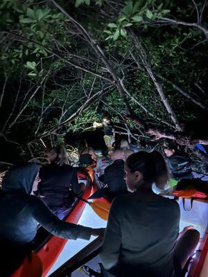 Night Kayak Key West