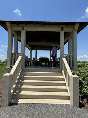 Wine tasting in the gazebo! Beautiful backdrop of the vineyards!