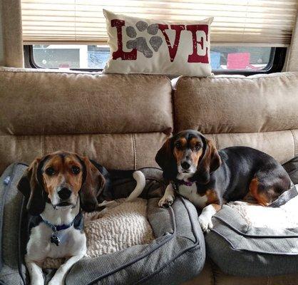 2 Happy Campers...Hunter & Hailey...Patients of North Gratiot Veterinary Hospital