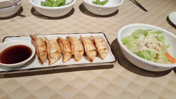 Fried Gyoza and the house salad