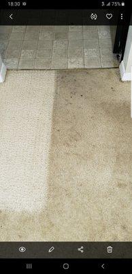 Albert's Carpet Cleaning