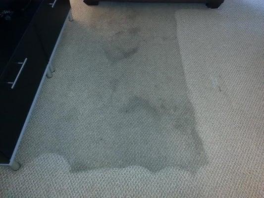 Carpet Cleaning during the process